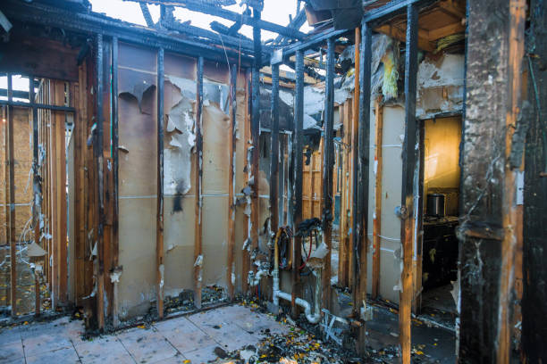 Professional Odor Removal technician working in Dixon, IL